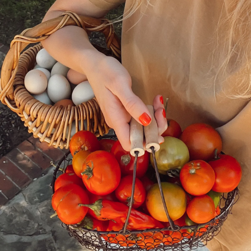 Understanding Soil and Nutrient Requirements for Tomato Plants