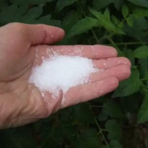 homemade epsom salt for plants