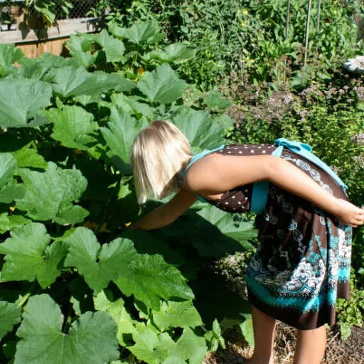 Can Epsom Salt Help Prevent Pest Issues in Zucchini Plants?