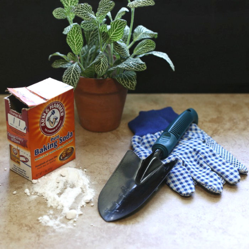 epsom salt and baking soda for plants