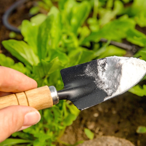 Can You Combine Baking Soda and Epsom Salt for Plant Health?