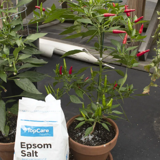 How Do I Use Epsom Salt on Potted Plants?