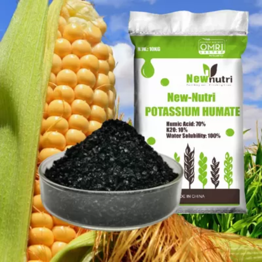 How to Apply Potassium Humate Fertilizer?