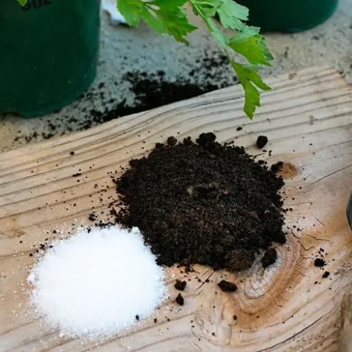 How can I use epsom salt in my garden?