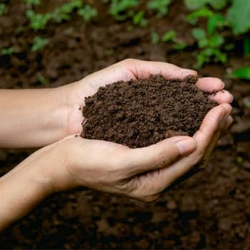 What is Potassium Humate Fertilizer?