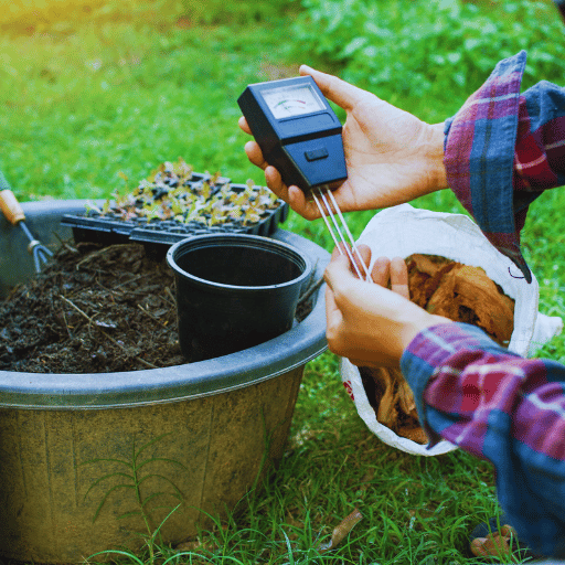 Effect of potassium nitrate on soil pH