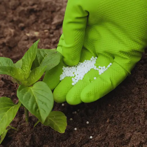 How is potassium nitrate fertilizer made