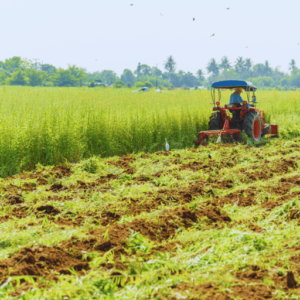 Potassium nitrate use in organic farming