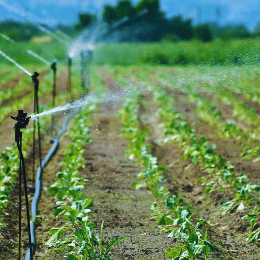 Using potassium nitrate in drip irrigation