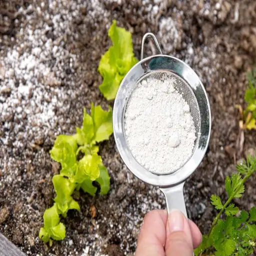 Epsom Salt and Baking Soda: Make Your Own Plant Fertilizer, Beware of Salt in Soil