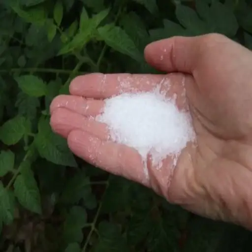 baking soda and epsom salt for plants