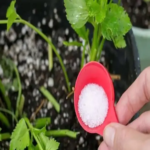 epsom salt and baking soda for plantsc