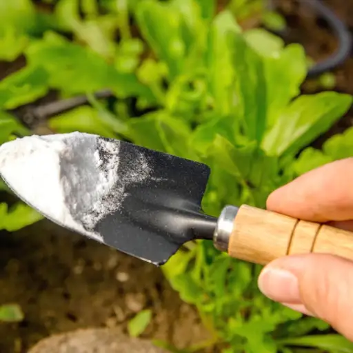 epsom salt and baking soda for plantsc