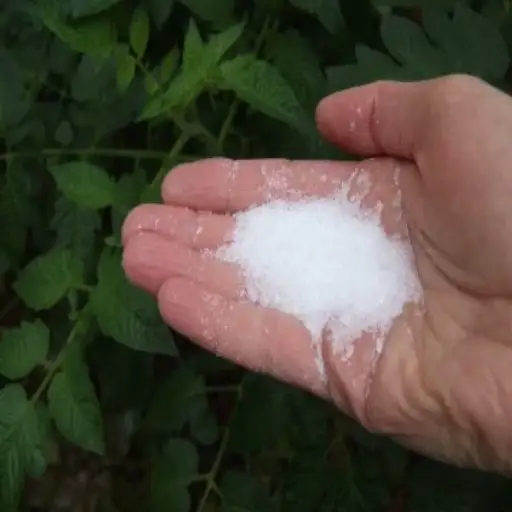 epsom salt for weed plants