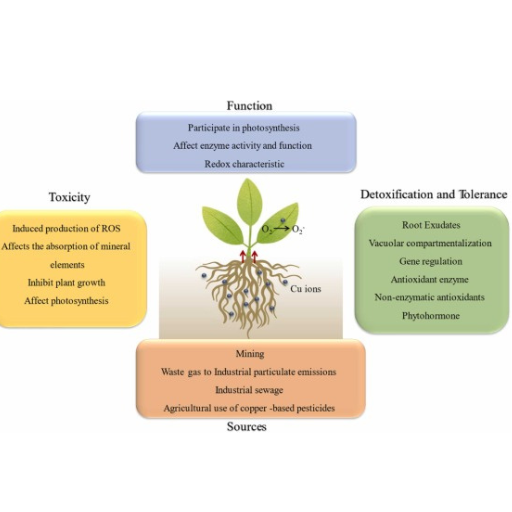 How Can We Assess Copper Levels in Plant Tissues?