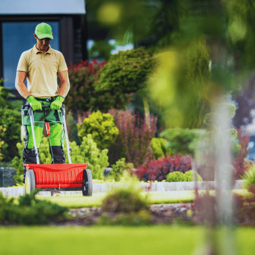 can you put fertilizer on wet grass 