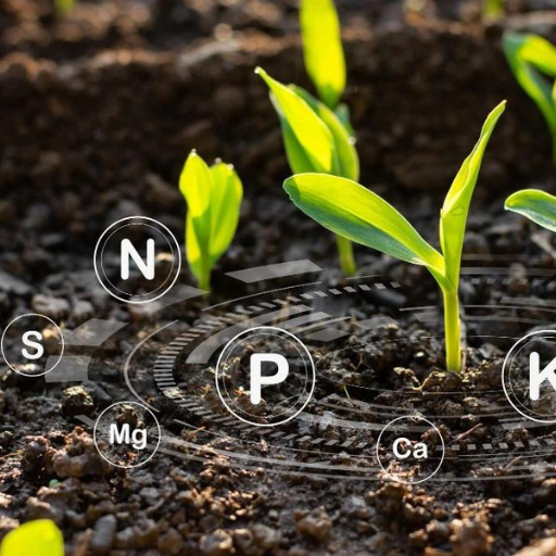 what fertilizer is high in phosphorus
