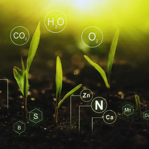 how does the use of fertilizer affect the nitrogen cycle?