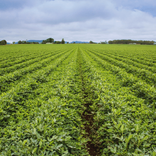 how does the use of fertilizer affect the nitrogen cycle?