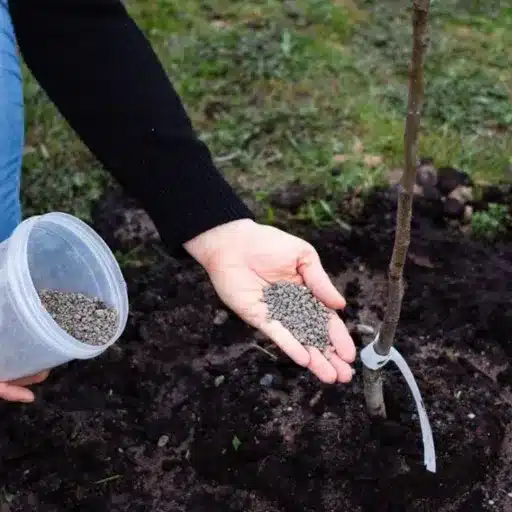 is 16-16-16 fertilizer good for fruit trees