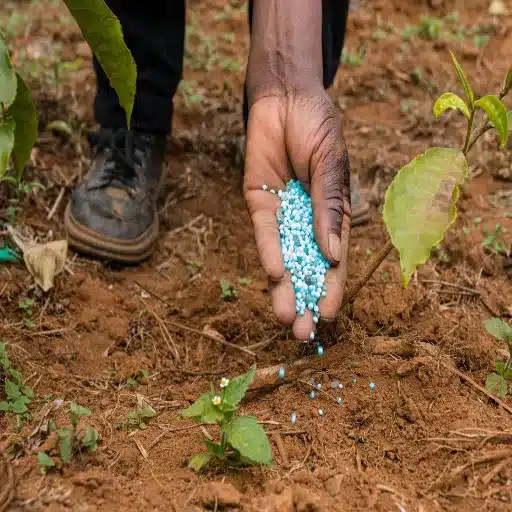 is 16-16-16 fertilizer good for fruit trees