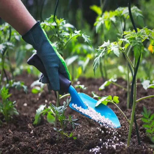 low nitrogen fertilizer