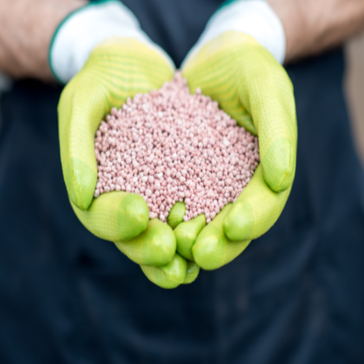 what fertilizer is high in phosphorus