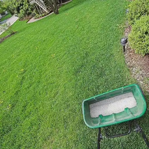 3-1-2 fertilizer