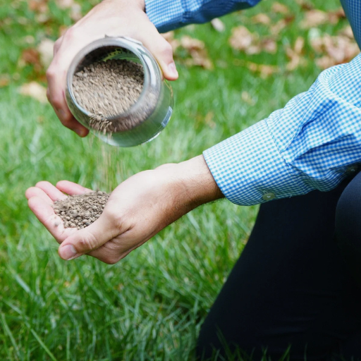 How Much Lime and Fertilizer Should I Use