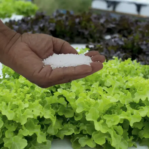 What Are the Best Practices for Using Hydroponic Nutrients in Soil