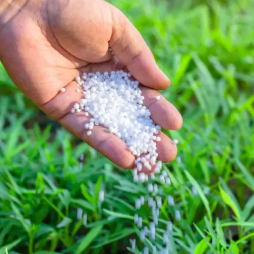 Disadvantages of Granular Fertilizer for Lawn and Garden