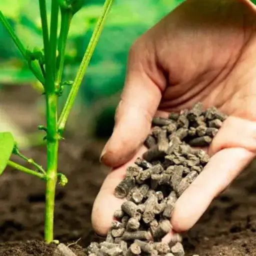 How do inorganic fertilizers improve nutrient availability?