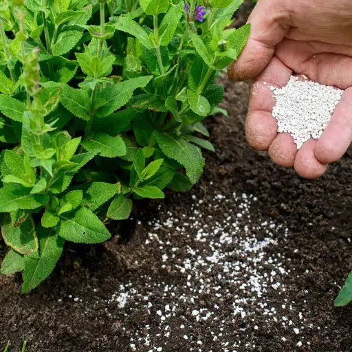 What are the Pros and Cons of Liquid Fertilizers?