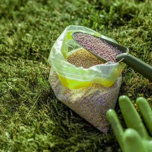 Choosing the Right Fertilizer for Your Lawn