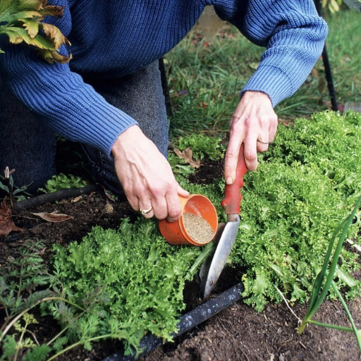 fertilizante para plantas