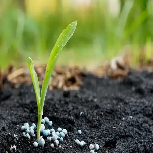 How to Choose the Best Potassium Fertilizer?