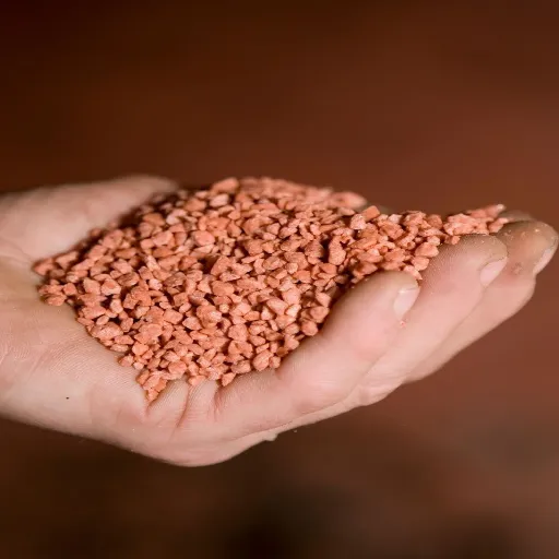 What is the best  Potassium fertilizer for Your Garden?