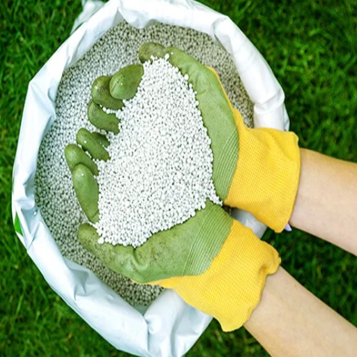best potassium fertilizer for lawn