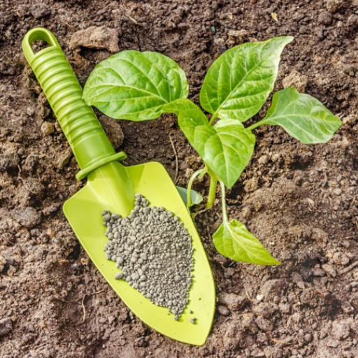 best potassium fertilizer for lawn