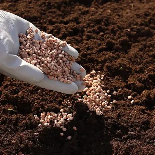 How to Choose the Best Potassium Fertilizer Organic for Your Garden?