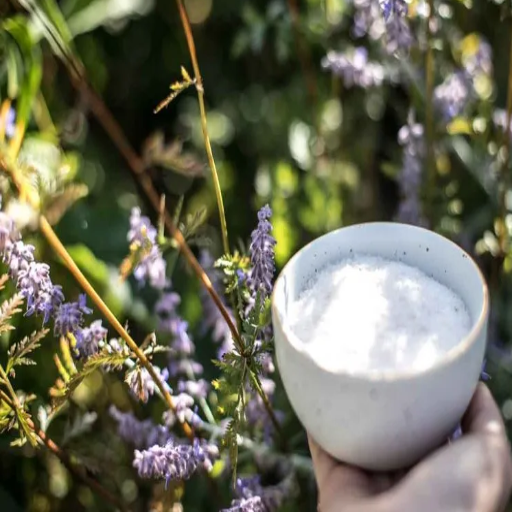 can i put epsom salt on my plants