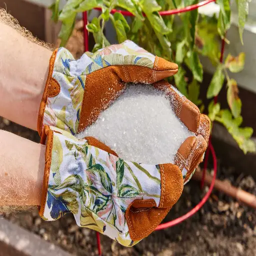 Can Epsom Salt with Eucalyptus Supercharge Your Plants' Growth?