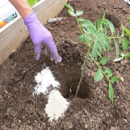 do pepper plants like epsom salt