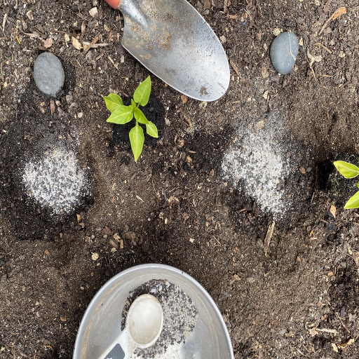 epsom salt mixture for plants