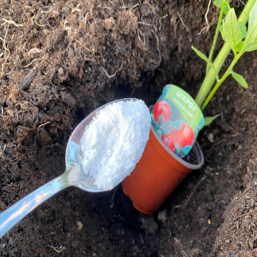 epsom salt mixture for plants