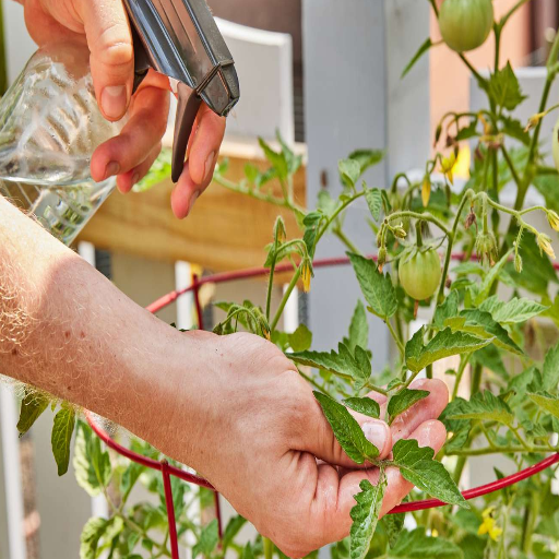 epsom salt mixture for plants