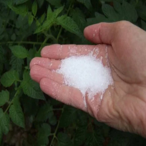 Unlock the Secrets: How to Use Epsom Salt for Thriving Plants in Your Garden