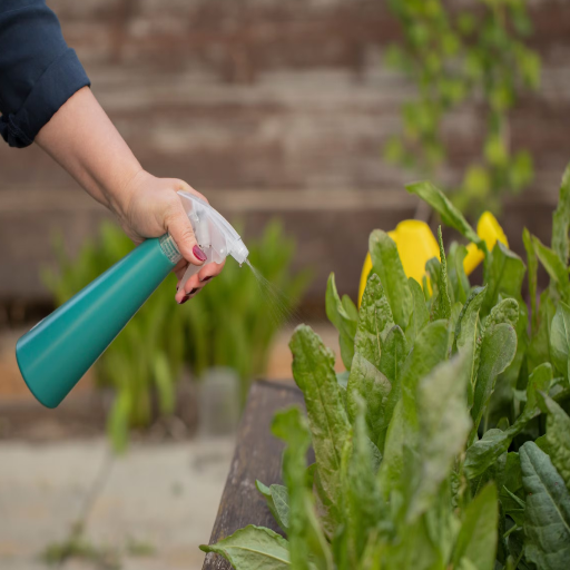 epsom salt solution for plants