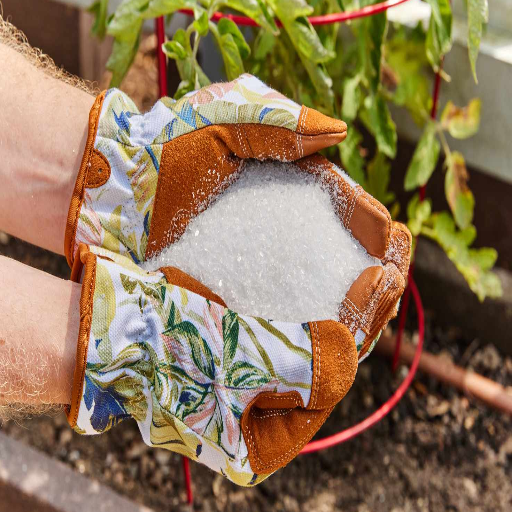 epsom salt solution for plants