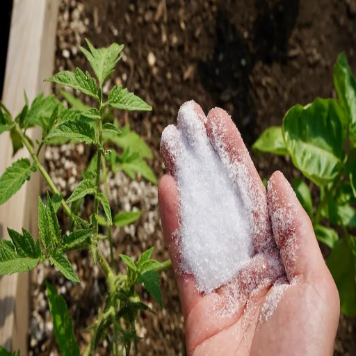 how much epsom salt to use for plants